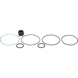BRÄNSLEPUMP O-RING SET CBA12244050F