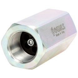 HOSE BURST VALVE 1" FMM277200