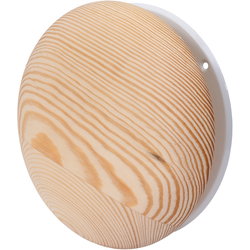 ILMANVAIHTOVENTTIILI 100MM PYÖREÄ MÄNTY 10KPL HE0230B