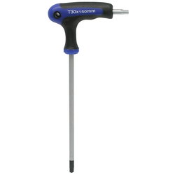 TORXNYCKEL MED T-HANDTAG S2 T25 IKH2425