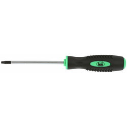 RUUVITALTTA T20X100MM IKH6356