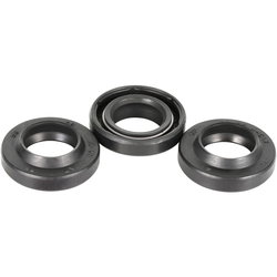 OIL GASKET 15X25,4X5/7 LAVV60050006