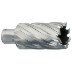 KÄRNBORR HSS 29X30MM WELDON MW343285