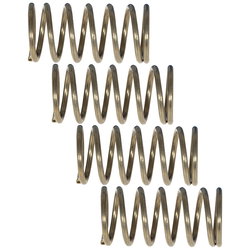 TRYCKFJÄDER 30X15X1,5 4ST PJ301515