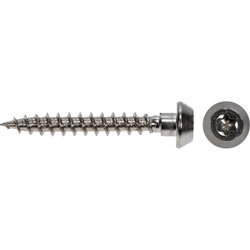 ANKKURIRUUVI 5,0X40MM 250KPL A2 TX20 PLRA05040