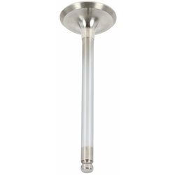 INSUGSVENTIL STD V10009